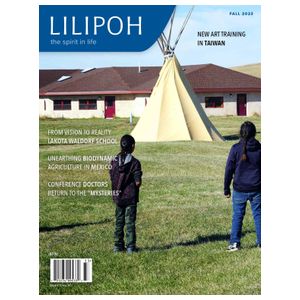 LILIPOH - 4 Issues Product Image