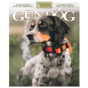 Gun Dog - 7 Issues Product Image