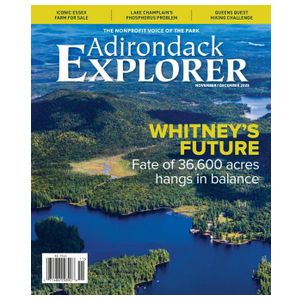 Adirondack Explorer - 6 Issues Product Image