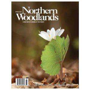 Northern Woodlands - 4 Issues Product Image
