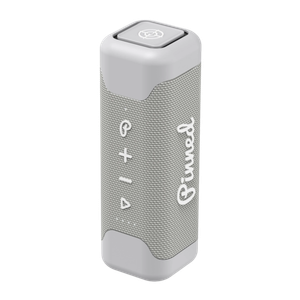 Pinned Golf The Sound Stick Speaker Gray Product Image