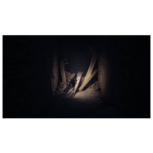 REANIMAL Collector's Edition - PlayStation 5 Product Image