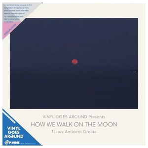 Various Artists: How We Walk on the Moon [LP] [VINYL] Product Image