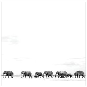 Dave Matthews Band: Where Are You Going: The Singles [LP] [VINYL] Product Image