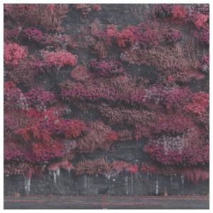 Sleep Token: Even in Arcadia [LP] - VINYL Product Image