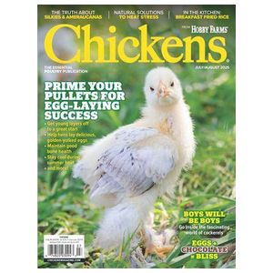 Chickens - Digital - 6 Issues Product Image