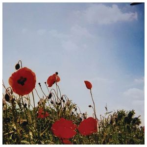 Fluisteraars: Bloem [LP] [VINYL] Product Image