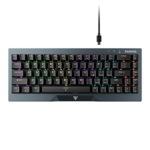 GAMDIAS - Hermes M4 65% Wired Mechanical Gaming Keyboard with RGB Backlighting - Gunmetal Grey Product Image