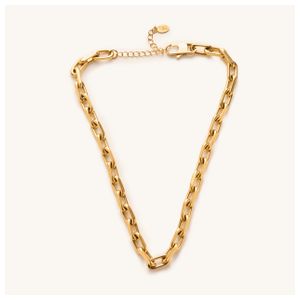Dani Chunky Link Choker Product Image
