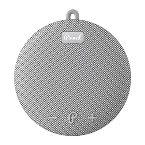 Pinned Golf The Dart 2.0 Speaker Gray Product Image