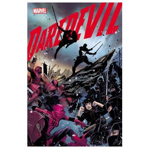 Daredevil - 12 Issues Product Image