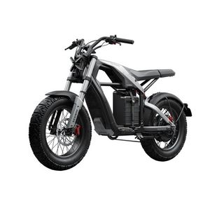 Xyber Electric Bike Product Image