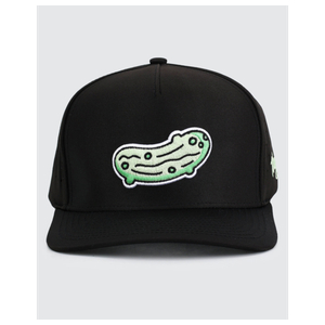 Waggle Pickled Hat Black Product Image