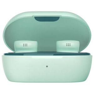 Bose Bose Quietcomfort Earbuds -Dewdrop Mint Product Image