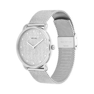 Ladies Elliot Silver-Tone Stainless Steel Mesh Watch Silver Glitter Dial Product Image