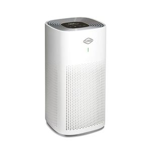 True HEPA Air Purifier Large Room Product Image