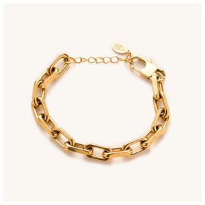Dani Chunky Link Bracelet Product Image
