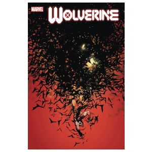 Wolverine - 12 Issues Product Image