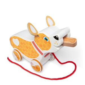 Feed Walk and Poo Pup Ages 18+ Months Product Image