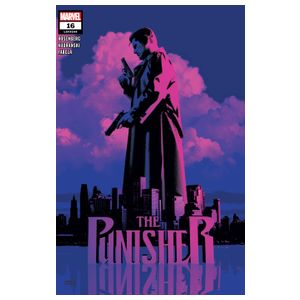 Punisher - 12 Issues Product Image