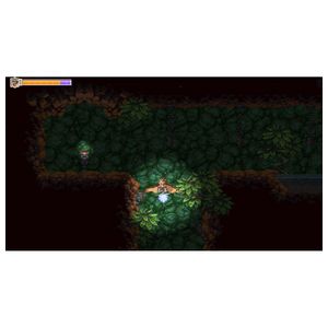 Owlboy - Nintendo Switch [Digital] Product Image