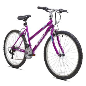 Trail Blaster Ladies' Mountain Bike Product Image