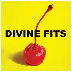 Divine Fits: A Thing Called Divine Fits [LP] - VINYL Product Image