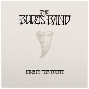 The Budos Band: Long in the Tooth [LP] - VINYL Product Image