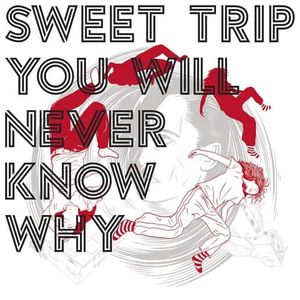 Sweet Trip: You Will Never Know Why [LP] - VINYL Product Image