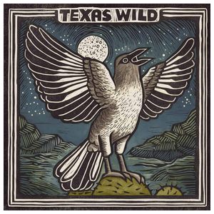 Various Artists: Texas Wild [LP] - VINYL Product Image