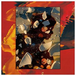 Hand Habits: Sugar the Bruise [12 inch Vinyl Single] Product Image