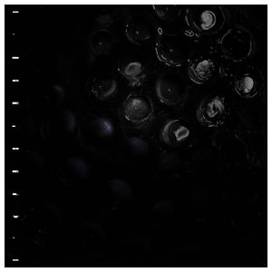 Crumb: Ice Melt [LP] - VINYL Product Image
