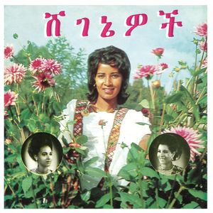 Aselefech Ashine: Beauties [LP] - VINYL Product Image