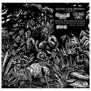 Cryptic Brood: Swollen With Rancid Phlegm [LP] - VINYL Product Image