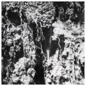 Den Sorte Død: Den Sorte Død [LP] - VINYL Product Image
