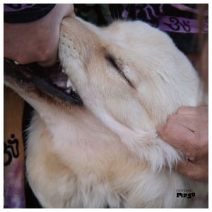 Christian Fennesz: It's Hard for Me to Say I'm Sorry [LP] [LP] - VINYL Product Image