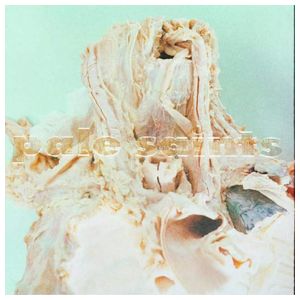 Pale Saints: In Ribbons [30th Anniversary Reissue] [LP] - VINYL Product Image