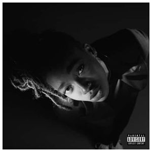 Little Simz: Grey Area [LP] - VINYL Product Image