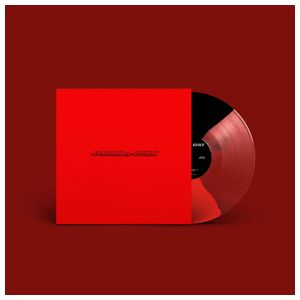 Bay Faction: Florida Guilt [LP] - VINYL Product Image