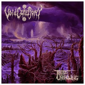 Voidceremony: Threads of Unknowing [LP] - VINYL Product Image