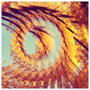 A Hawk and a Hacksaw: Forest Bathing [LP] - VINYL Product Image