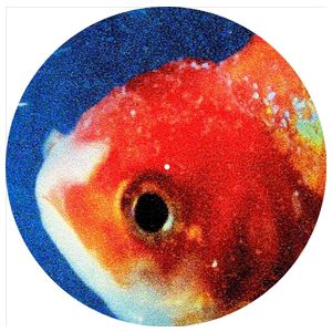Vince Staples: Big Fish Theory [Picture Disc] Product Image
