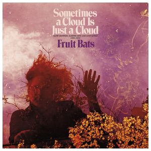 Fruit Bats: Sometimes a Cloud Is Just a Cloud: Slow Growers, Sleeper Hits and Lost Songs (2001-2021) [LP] - VINYL Product Image