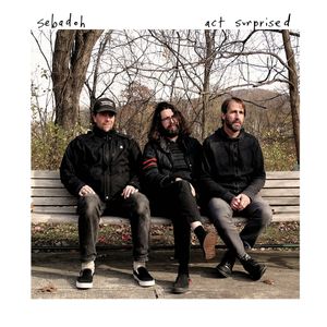 Sebadoh: Act Surprised [LP] [VINYL] Product Image