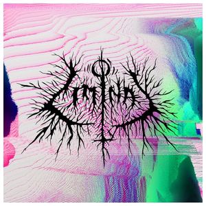 Petbrick: Liminal [LP] - VINYL Product Image