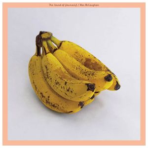 Mac McCaughan: The Sound of Yourself [LP] - VINYL Product Image