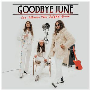 Goodbye June: See Where the Night Goes [LP] - VINYL Product Image