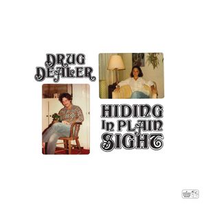 Drugdealer: Hiding in Plain Sight [LP] - VINYL Product Image
