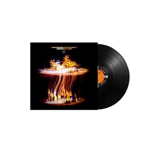 Irreversible Entanglements: Protect Your Light [LP] - VINYL Product Image