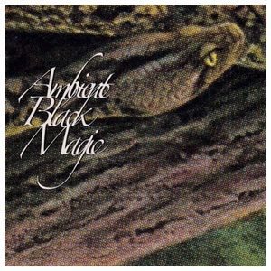 Rainforest Spiritual Enslavement: Ambient Black Magic [LP] - VINYL Product Image